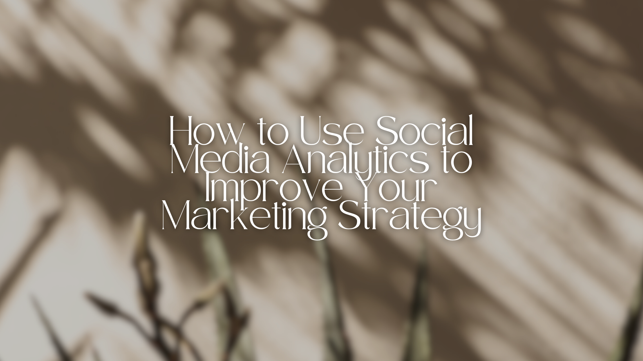 How to Create Instagram Content That Actually Converts